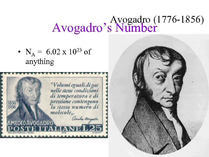 Avogadro (1776 -1856) Avogadro’s Number • NA = 6. 02 x 1023 of anything