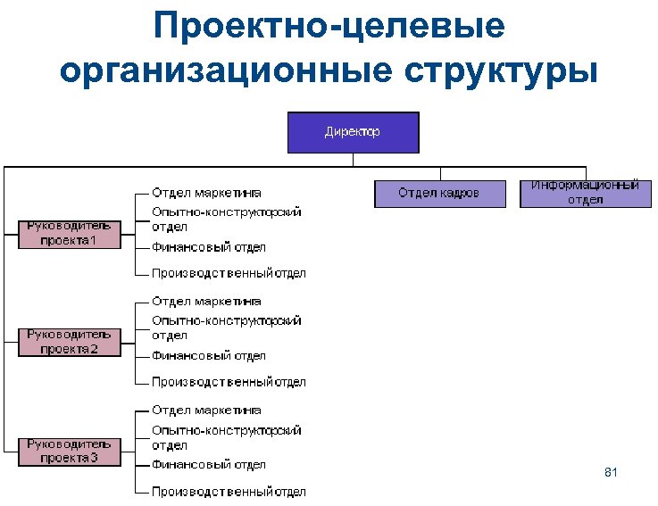 Проектно-целевые организационные структуры 81 