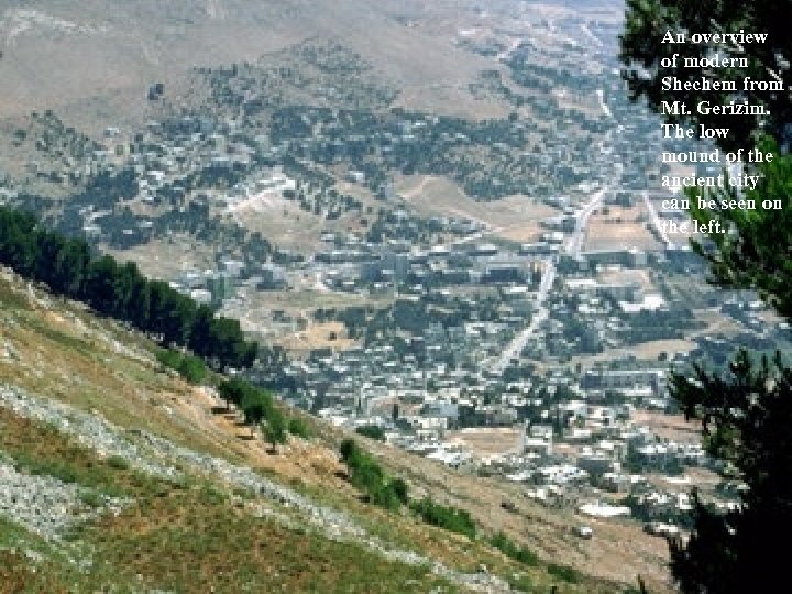 An overview of modern Shechem from Mt. Gerizim. The low mound of the ancient