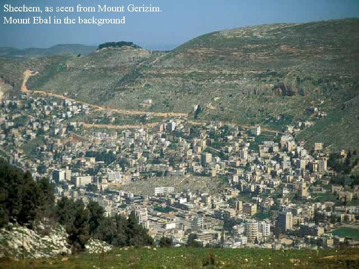 Shechem, as seen from Mount Gerizim. Mount Ebal in the background 