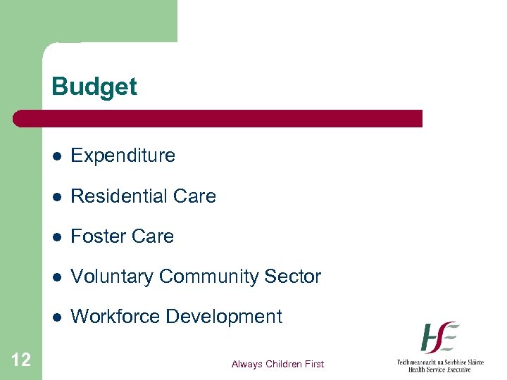 Budget l l Residential Care l Foster Care l Voluntary Community Sector l 12