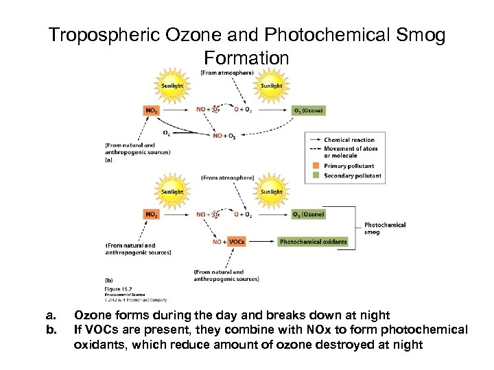 Tropospheric Ozone and Photochemical Smog Formation a. b. Ozone forms during the day and