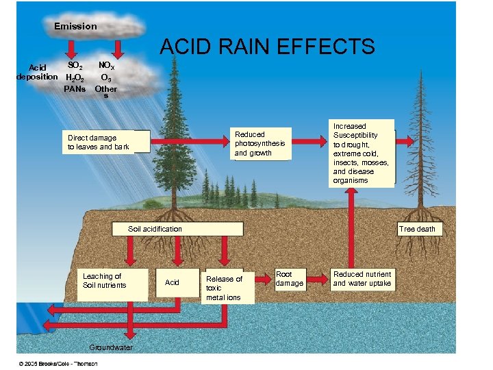 Emission ACID RAIN EFFECTS SO 2 Acid deposition H 2 O 2 PANs NOX