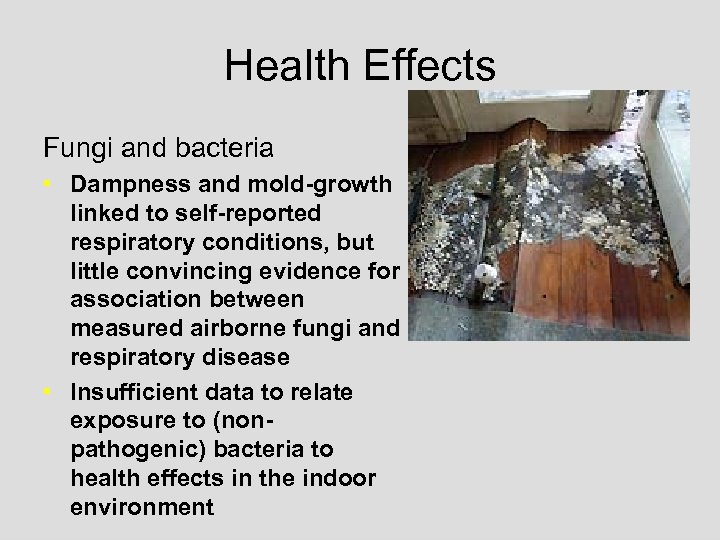 Health Effects Fungi and bacteria • Dampness and mold-growth linked to self-reported respiratory conditions,