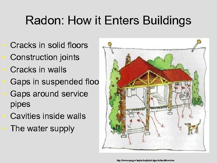 Radon: How it Enters Buildings • • • Cracks in solid floors Construction joints