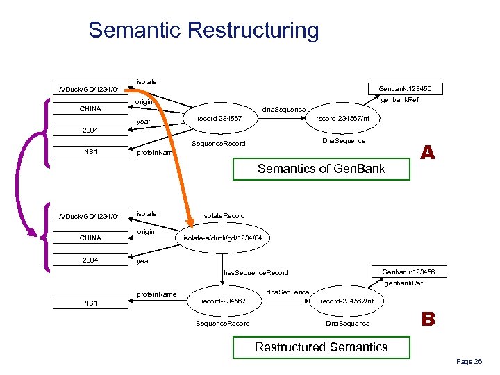 Semantic Restructuring A/Duck/GD/1234/04 CHINA isolate Genbank: 123456 genbank. Ref origin dna. Sequence record-234567/nt Sequence.