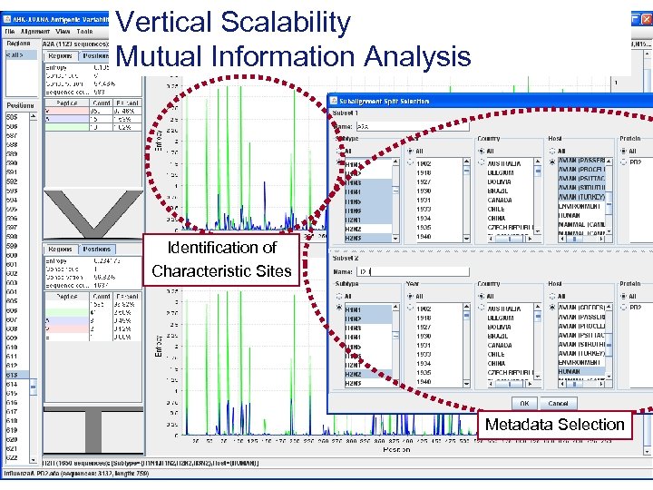 Vertical Scalability Mutual Information Analysis Identification of Characteristic Sites Metadata Selection Page 6 