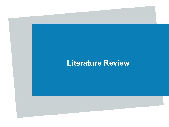 Literature Review 