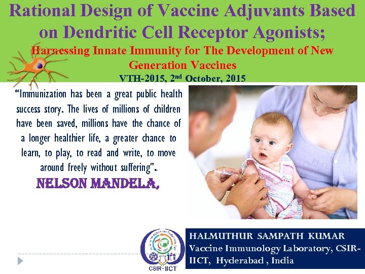 Rational Design of Vaccine Adjuvants Based on Dendritic Cell Receptor Agonists; Harnessing Innate Immunity