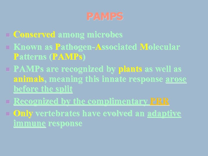 PAMPS n n n Conserved among microbes Known as Pathogen-Associated Molecular Patterns (PAMPs) PAMPs