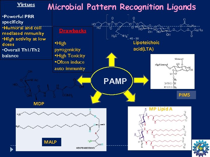 Microbial Pattern Recognition Ligands Virtues • Powerful PRR specificity • Humoral and cell mediated