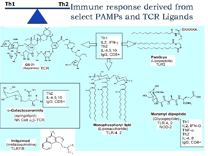 Immune response derived from select PAMPs and TCR Ligands 