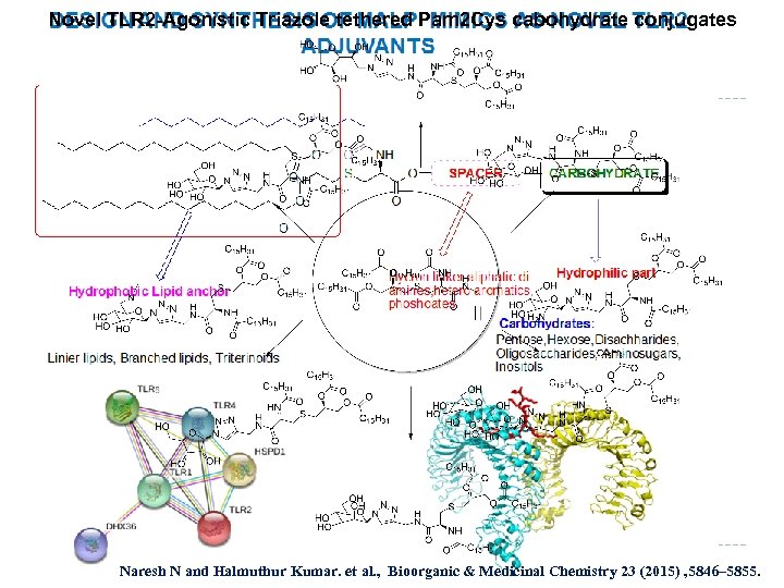 Novel TLR 2 -Agonistic Triazole tethered Pam 2 Cys cabohydrate conjugates Naresh N and