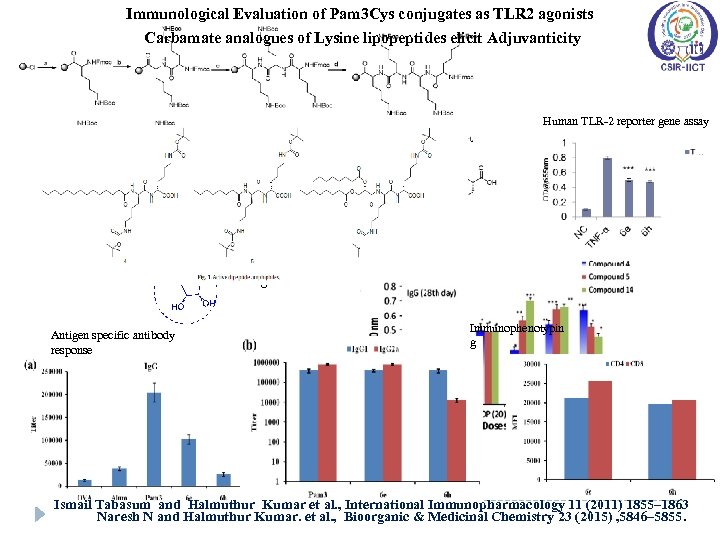 Immunological Evaluation of Pam 3 Cys conjugates as TLR 2 agonists Carbamate analogues of