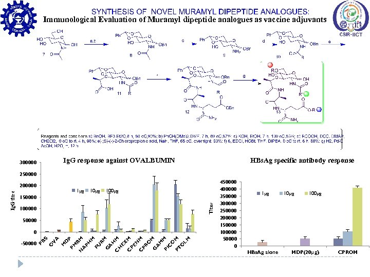 Immunological Evaluation of Muramyl dipeptide analogues as vaccine adjuvants Ig. G response against OVALBUMIN