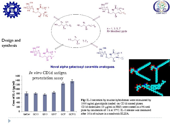 Design and synthesis Conc of IL-2 (pg/ml) 1600 1400 In vitro CD 1 d