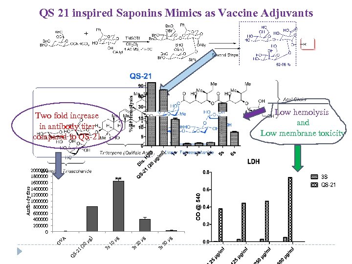 QS 21 inspired Saponins Mimics as Vaccine Adjuvants Low hemolysis and Low membrane toxicity