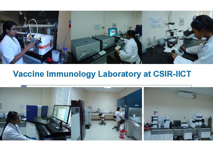 Vaccine Immunology Laboratory at CSIR-IICT 