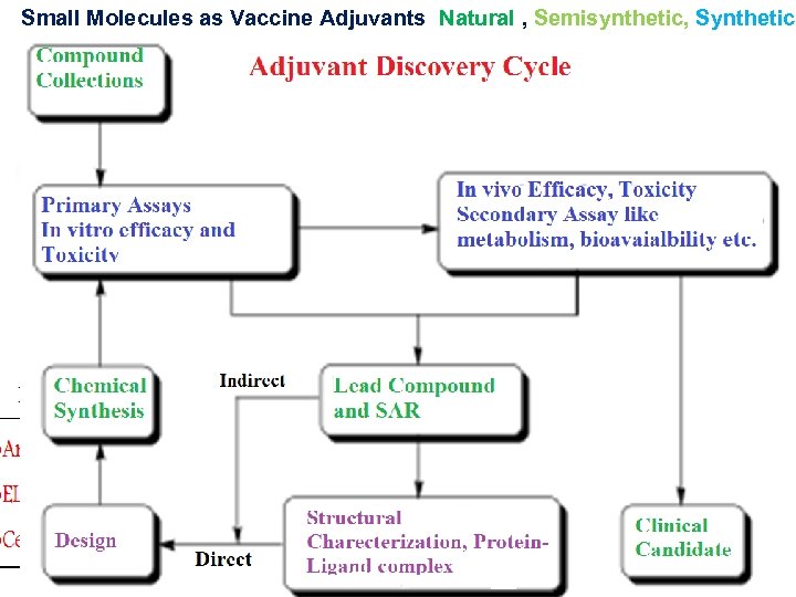 Small Molecules as Vaccine Adjuvants Natural , Semisynthetic, Synthetic Preliminary Screening Splenocytes/DCs OVA Immunized