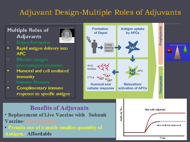 Adjuvant Design-Multiple Roles of Adjuvants • • • Depot Formation Rapid antigen delivery into