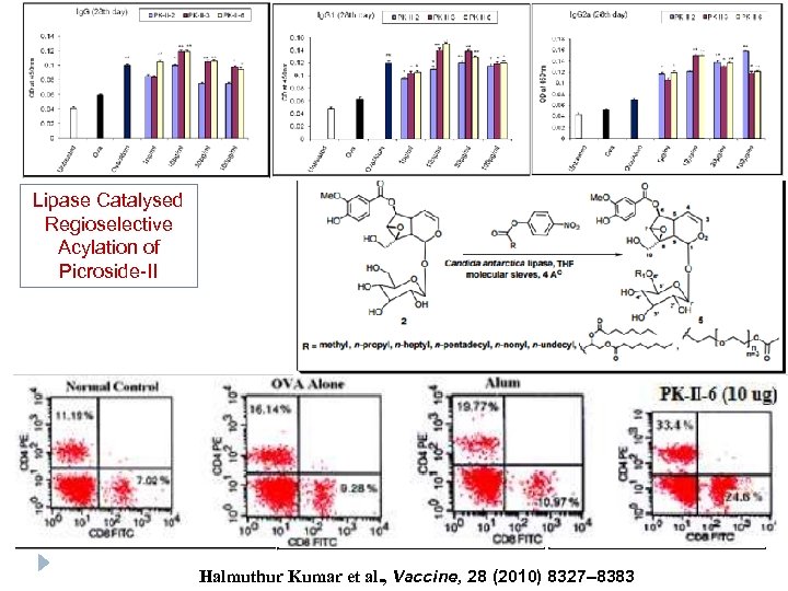 Lipase Catalysed Regioselective Acylation of Picroside-II Halmuthur Kumar et al. , Vaccine, 28 (2010)