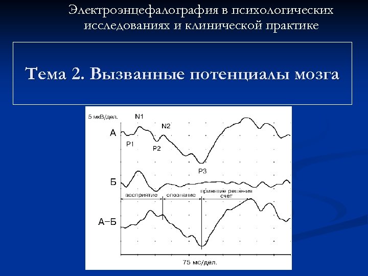 Электроэнцефалография в психологических исследованиях и клинической практике Тема 2. Вызванные потенциалы мозга 