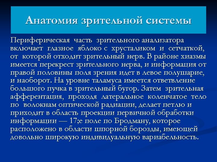 Анатомия зрительной системы Периферическая часть зрительного анализатора включает глазное яблоко с хрусталиком и сетчаткой,