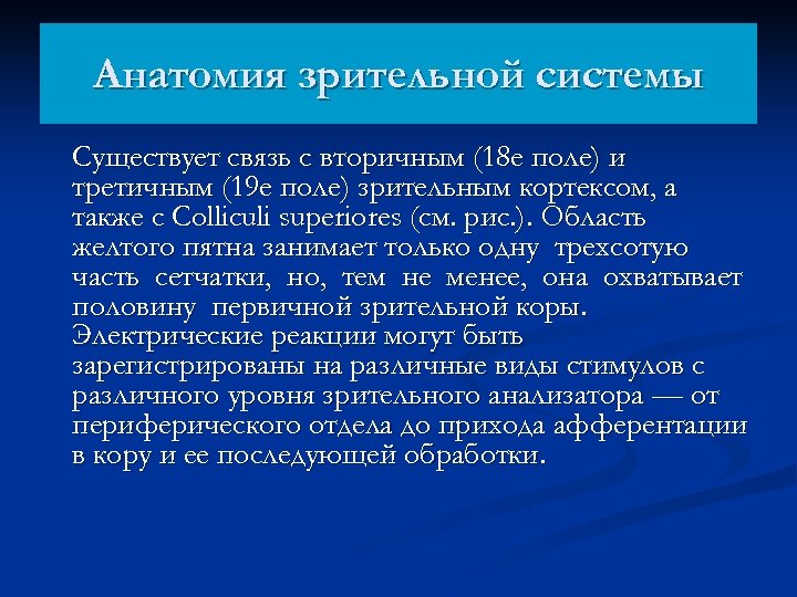 Анатомия зрительной системы Существует связь с вторичным (18 е поле) и третичным (19 е