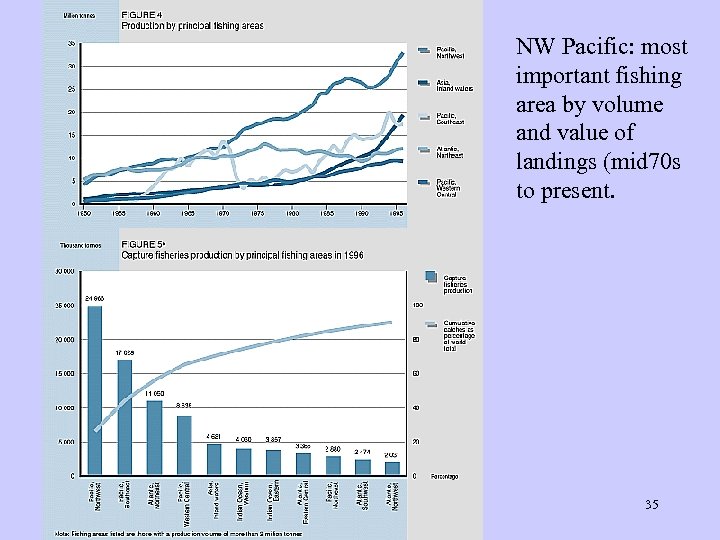 NW Pacific: most important fishing area by volume and value of landings (mid 70