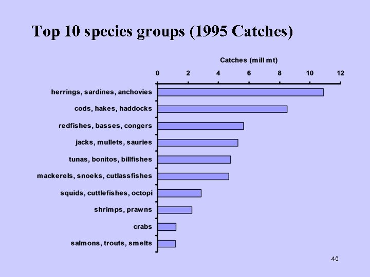Top 10 species groups (1995 Catches) 40 