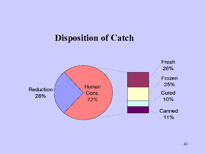 Disposition of Catch 42 
