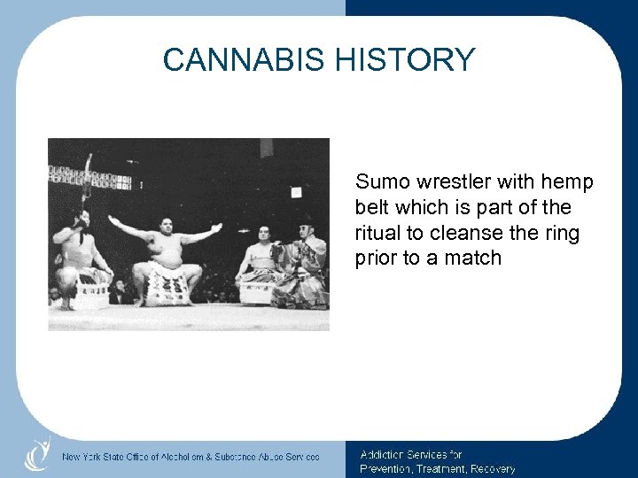 CANNABIS HISTORY Sumo wrestler with hemp belt which is part of the ritual to