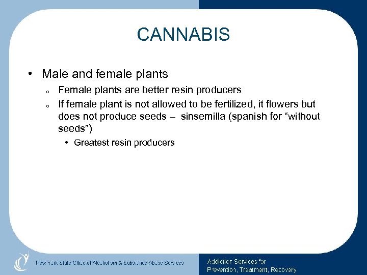 CANNABIS • Male and female plants o o Female plants are better resin producers