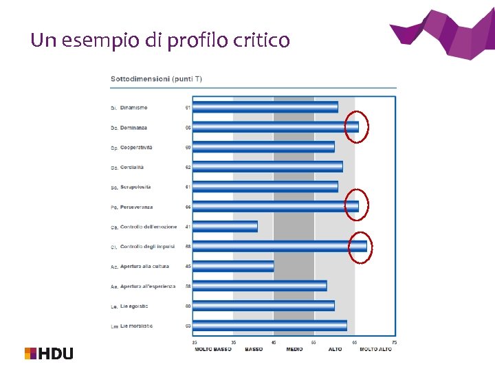 Un esempio di profilo critico 