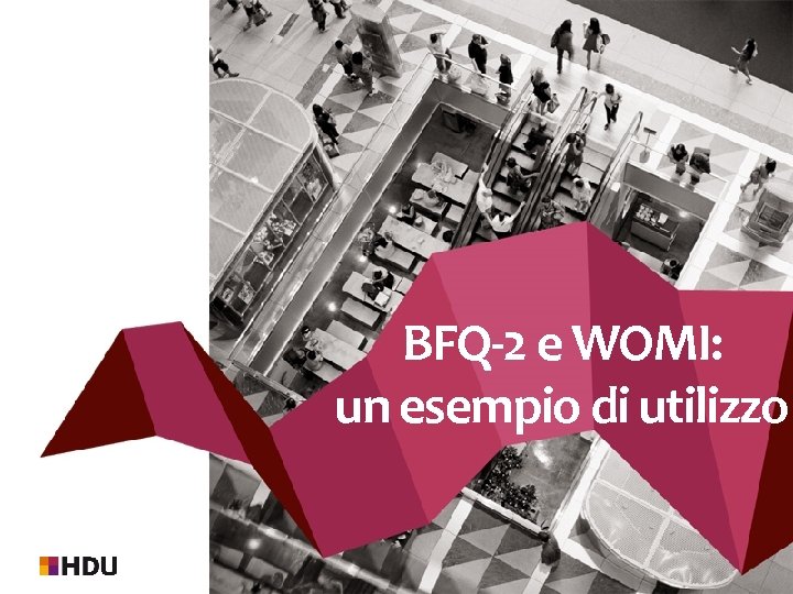 BFQ-2 e WOMI: un esempio di utilizzo 