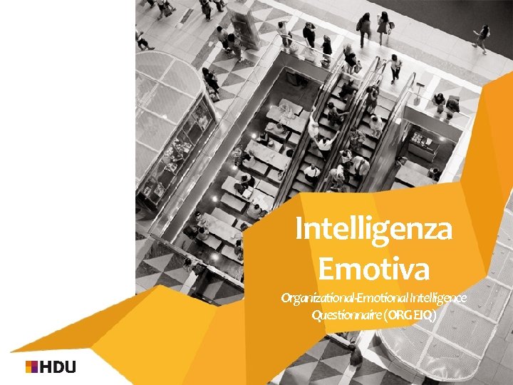 Intelligenza Emotiva Organizational-Emotional Intelligence Questionnaire (ORG EIQ) 