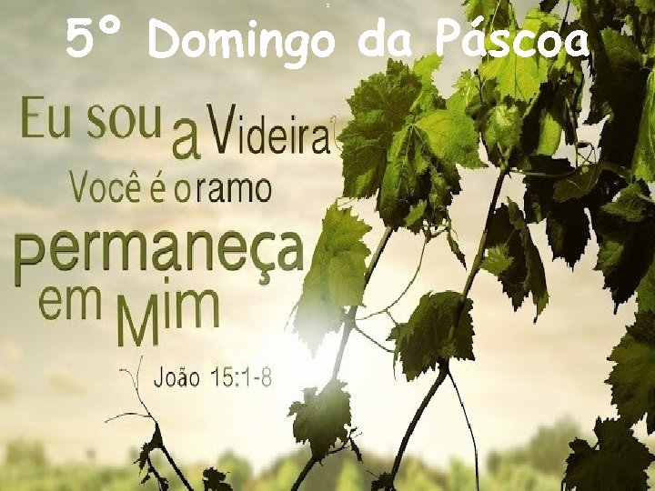 5º Domingo da Páscoa 2 