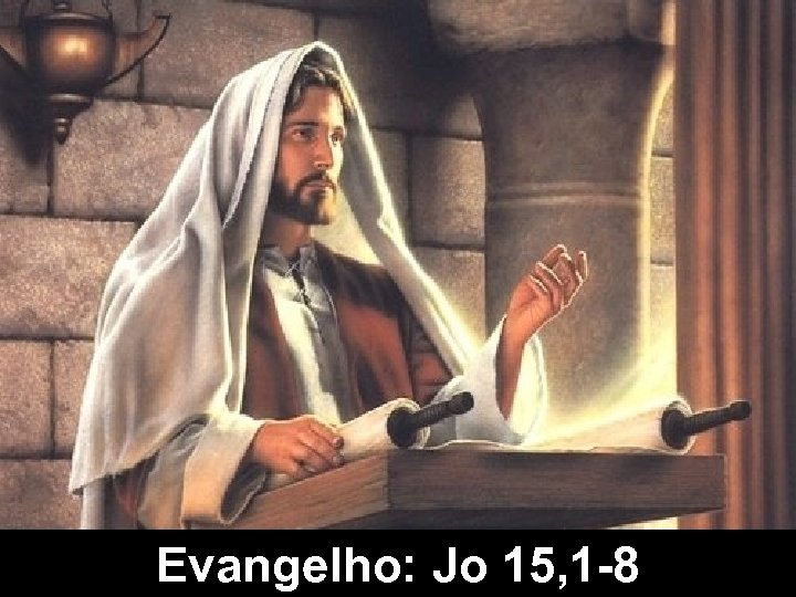Evangelho: Jo 15, 1 -8 