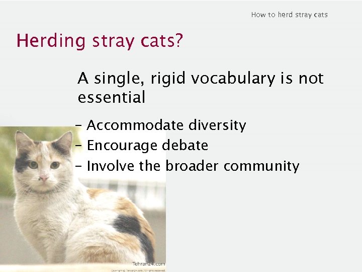 How to herd stray cats Herding stray cats? A single, rigid vocabulary is not