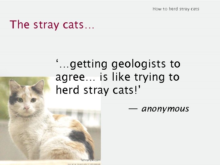 How to herd stray cats The stray cats… ‘…getting geologists to agree… is like