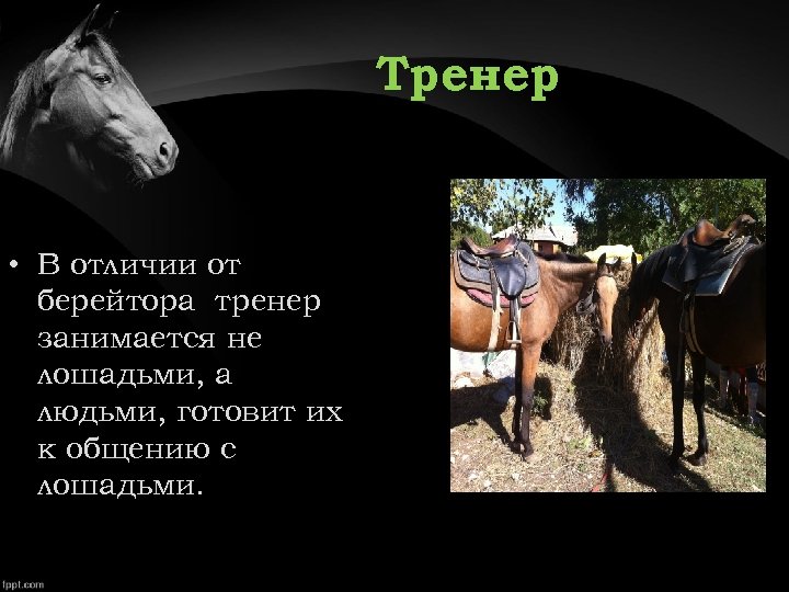 Тренер • В отличии от берейтора тренер занимается не лошадьми, а людьми, готовит их