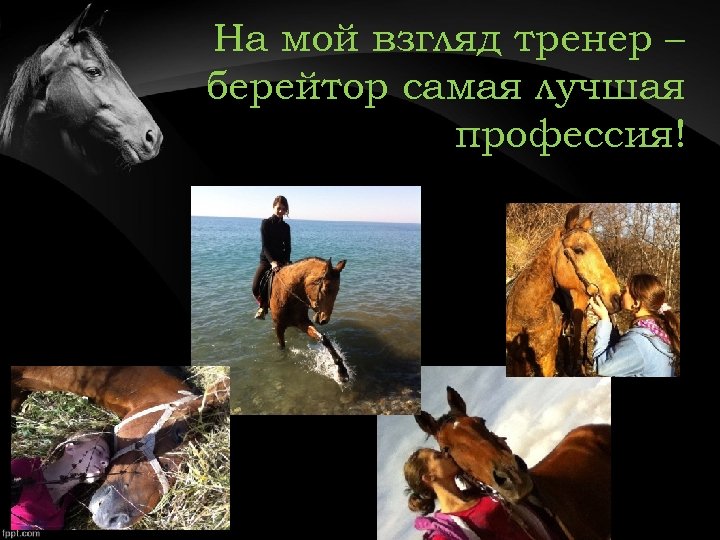 На мой взгляд тренер – берейтор самая лучшая профессия! 