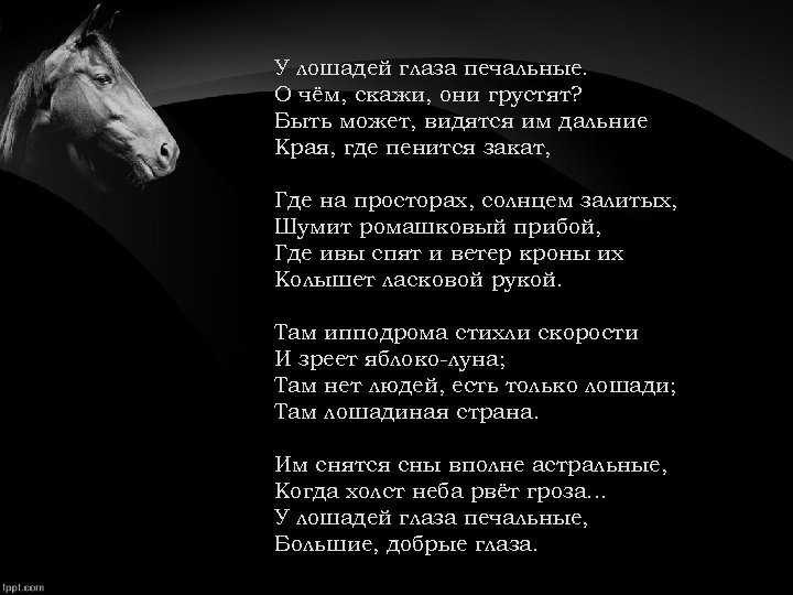 У лошадей глаза печальные. О чём, скажи, они грустят? Быть может, видятся им дальние
