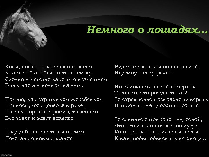 Песня пол коня текст песни. Песни про лошадей. Текст про лошадь. Слово лошадь. Песня про лошадь.