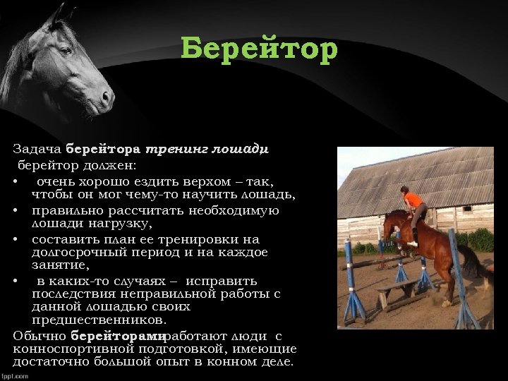 Берейтор Задача берейтора тренинг лошади , берейтор должен: • очень хорошо ездить верхом –