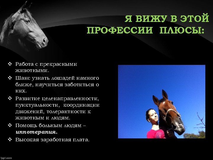 Я ВИЖУ В ЭТОЙ ПРОФЕССИИ ПЛЮСЫ: v Работа с прекрасными животными. v Шанс узнать