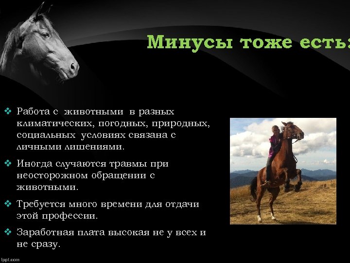 Минусы тоже есть: v Работа с животными в разных климатических, погодных, природных, социальных условиях