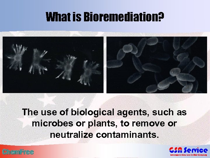 What is Bioremediation? The use of biological agents, such as microbes or plants, to