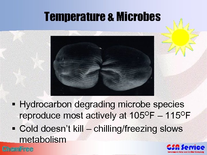 Temperature & Microbes § Hydrocarbon degrading microbe species reproduce most actively at 105 OF