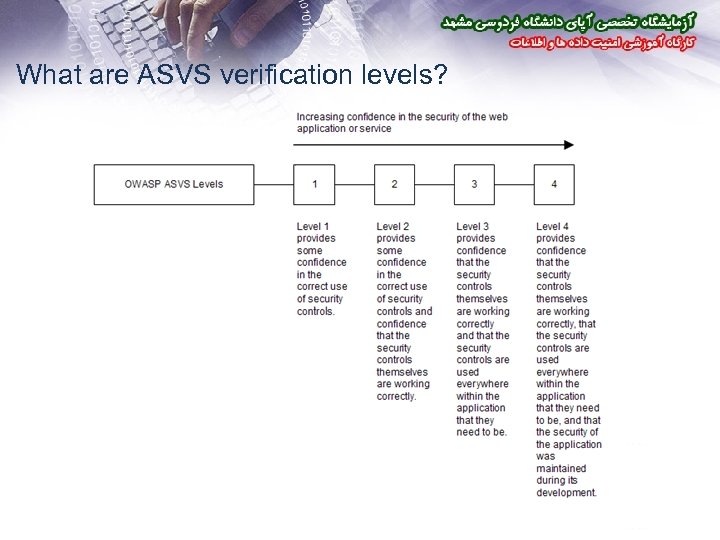 What are ASVS verification levels? 